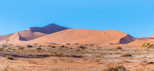 Fototapeta na wymiar A view of the trail to the dead valley in Sossusvlei, Namibia in the dry season