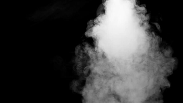 Abstract white smoke animation on a black background. Smoke, steam, explosion, fire, puff, steady vapors. Realistic smoke cloud from up and button with floating fog. Best for using in composition.