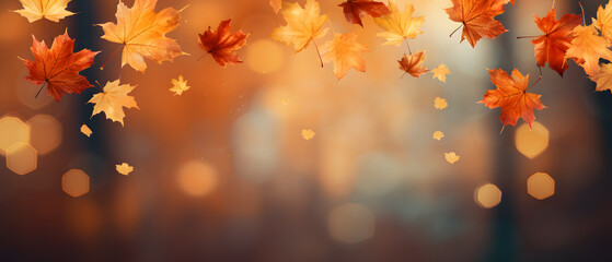 Naklejka na ściany i meble Orange maple leaves autumn background banner 