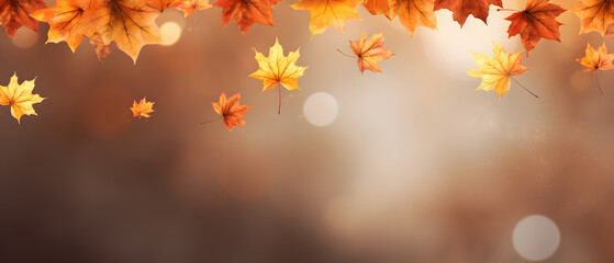 Naklejka na ściany i meble Colorful panoramic autumn background with orange leaves and blurred background