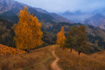 mountain landscape on a gloomy autumn day, Tien Shan Range near the city of Almaty in Kazakhstan, Kimasar Gorge