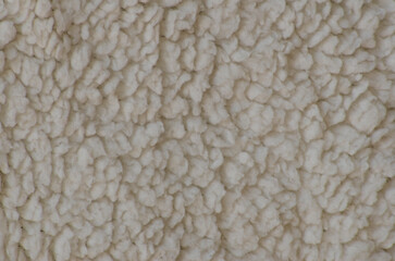 texture of wool or lamb, white in color, ecru, with a fluffy relief background