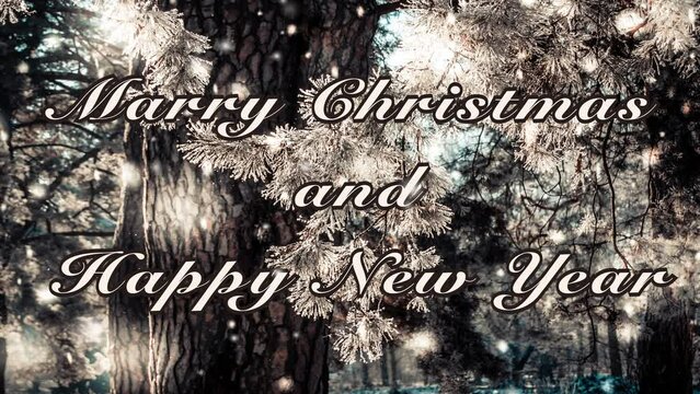 Merry Christmas and Happy New Year words letters design white black colors. Pine tree branch covered snow on sunny winter day. Falling snow snowflakes snowfall. Loop seamless animation text background