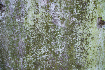 Old Grunge wall abstract Texture Can be used as a background wallpaper