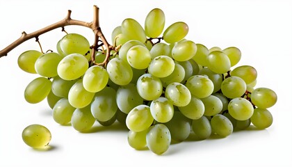 Isolés : raisins de vin vert - obrazy, fototapety, plakaty