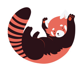 Adorable baby red panda lying on its back with raised paws, isolated vector illustration in flat design