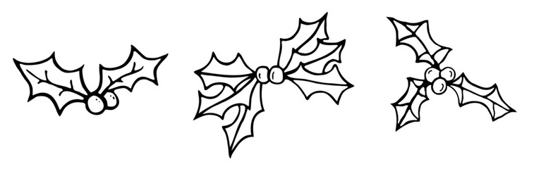 Simple holly black and white illustration