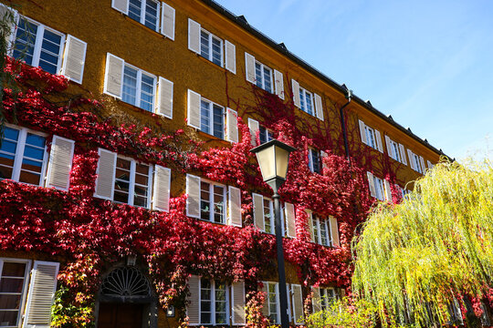 The Borstei is a listed residential area in the Moosach 