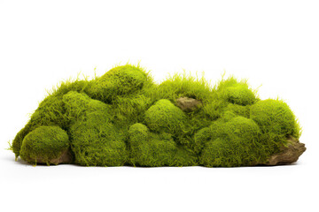 moss on rocks, stones isolated on transparent background, png file
