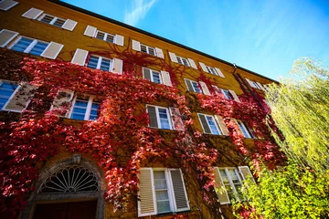 Foto op Canvas the Borstei is a listed residential area in the Moosach district of Munich, which was built between 1924 © Dagmar Breu