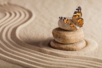 zen garden with round meditation stone and butterfly