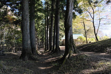 秩父の山道　Mountain Roads in Chichibu