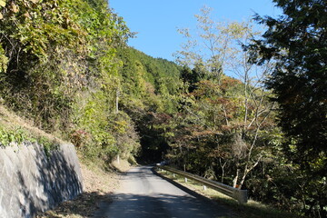 Fototapeta na wymiar 秩父の山道　Mountain Roads in Chichibu