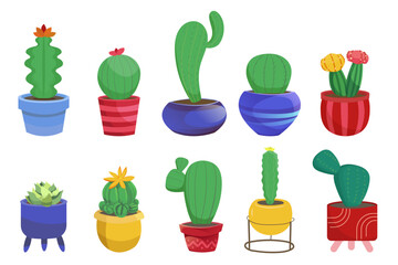 Succulent cactus set. Cactus succulent in pot, cartoon flat style. Cactus set isolated for stickers, greeting cards.