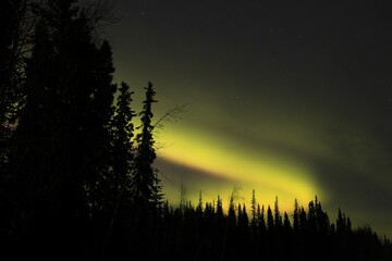 Stunning view of the Aurora Borealis from a secluded dark forest with no artificial light pollution