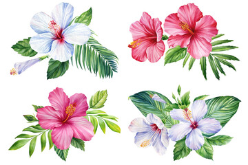 Set of Tropical flora isolated background, hibiscus and palm leaf, Beautiful watercolor plants, leaves and flowers 
