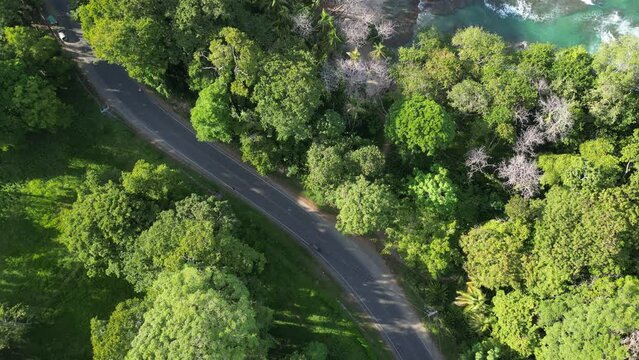 top down view of a road on the side of the caribbean sea. 
