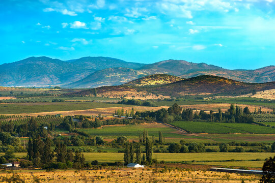 Crop fields and farms at Region del Maule in southern Chile