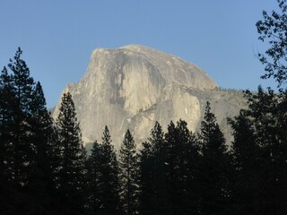 Scenic landscape featuring the rocky Halfdome mountain with a lush covering of tall trees