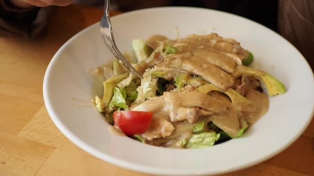 vegetable salad with grilled chicken 