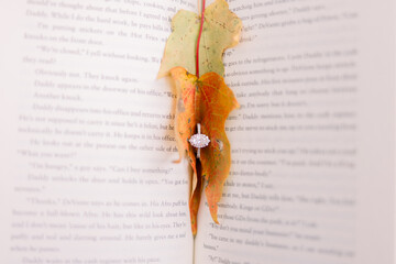 Engagement ring on a autumn leaves inside a book 