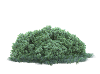 Small plant on frass