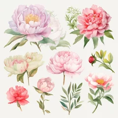 Tuinposter Set of watercolor peony flowers on white background clipart © evgenia_lo