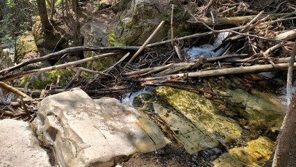 mountain creeks, hiking, trails, discover nature, beauty