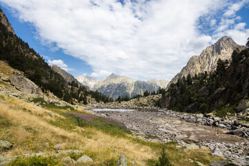 Fototapeta na wymiar Beautiful landscape of the natural park of Aigüestortes y Estany de Sant Maurici, Pyrenees landscape with river and lake