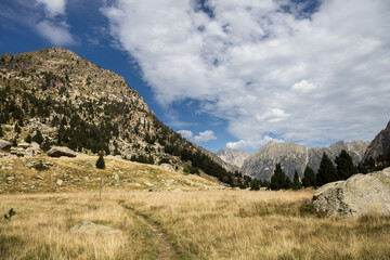 Beautiful landscape of the natural park of Aigüestortes y Estany de Sant Maurici, Pyrenees landscape with river and lake