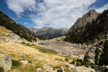 Fototapeta na wymiar Beautiful landscape of the natural park of Aigüestortes y Estany de Sant Maurici, Pyrenees landscape with river and lake