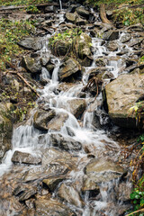 Wild mountain river flowing through stone boulders. Abundant clear stream in carpathians.