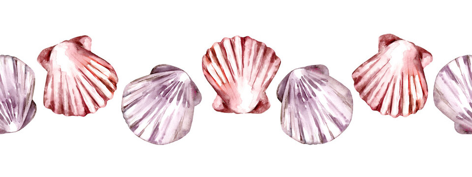 Seamless Border with Seashells. Hand drawn watercolor illustration on white isolated background for banner. Sea shell Pattern for design in nautical style. Oceanic backdrop with cockleshells