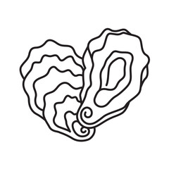 collection of oyster shell isolated on white background