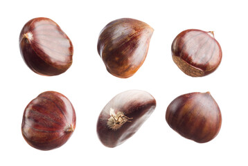 Chestnuts isolated on transparent background. PNG image. - 675438892