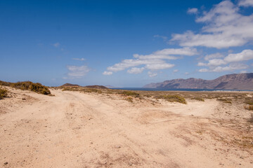 Fototapeta na wymiar Desert landscape of white sand and desert bushes. Ocean and Famara cliff in the background. Dirt track. Sky with big white clouds. Lanzarote, Canary Islands, Spain.