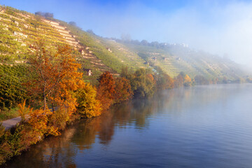 Slight fog on a river in Autumn