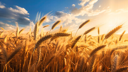A timeless portrayal of a wheat field swaying in the breeze, depicting the essence of agriculture