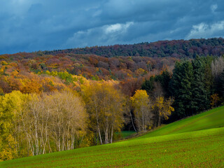 Herbstzeit auf Feld und Flur, Farben explodieren