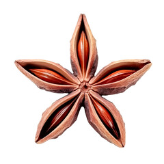 star anise isolated on a transparent background