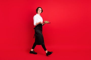 Full size profile photo of optimistic nice brunette hair lady hold food wear shirt isolated on red color background