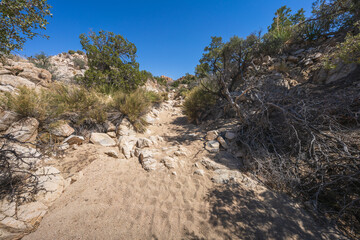 hiking the lost horse mine loop trail in joshua tree national park, california, usa