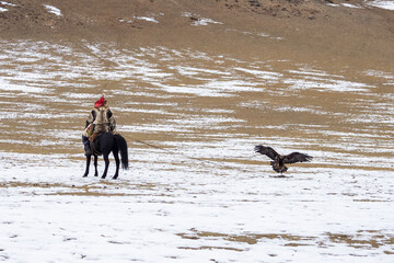 Male hunter on a horse with his back to the camera trains a golden eagle. Eagle hunters are people...