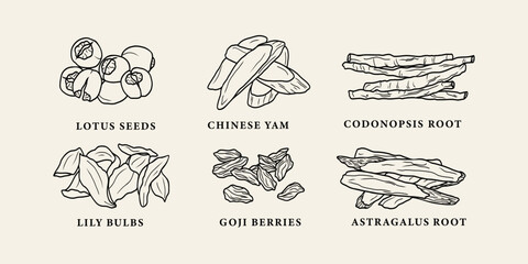 Line art Chinese herbs collection