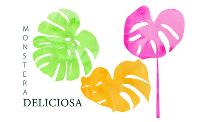 Tropical leaves set. tropical leaves background. colorful monstera deliciosa