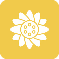 Sunflower Line Color Icon