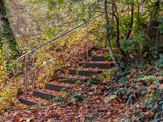 Herbst Farben im Überschwang