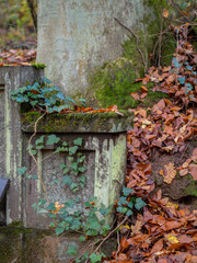 Herbst Farben im Überschwang