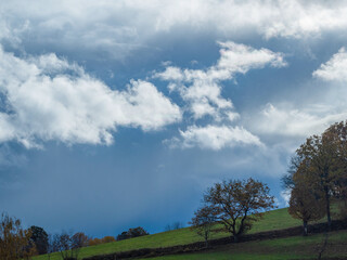 Herbst Farben im Überschwang