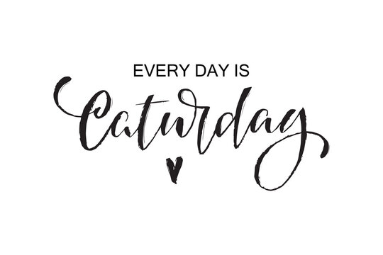 Everyday is caturday handwritten text, modern brush ink calligraphy, hand lettering typography. Funny quote for photo overlays, greeting card or print, poster design. World cat's day. 